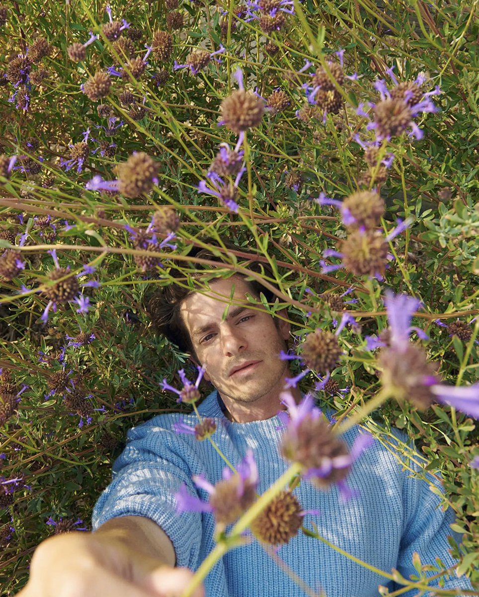 Film Updates tweet media