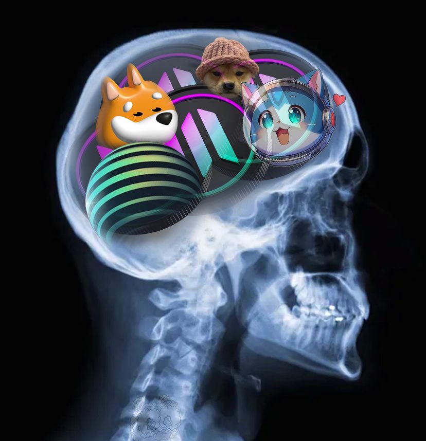 Study.

Real meme coins.🫡