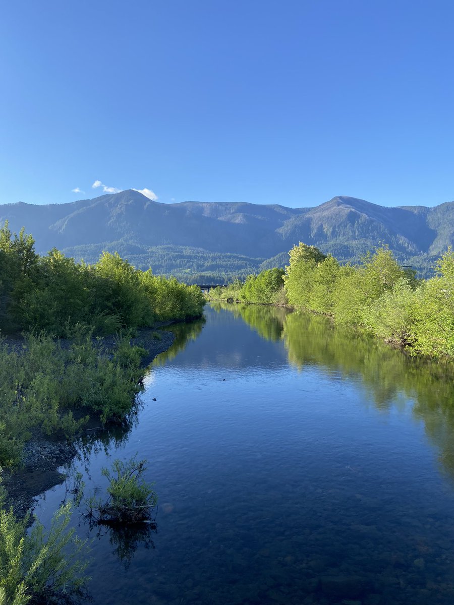 Liz Ghandakly, MD JD tweet media