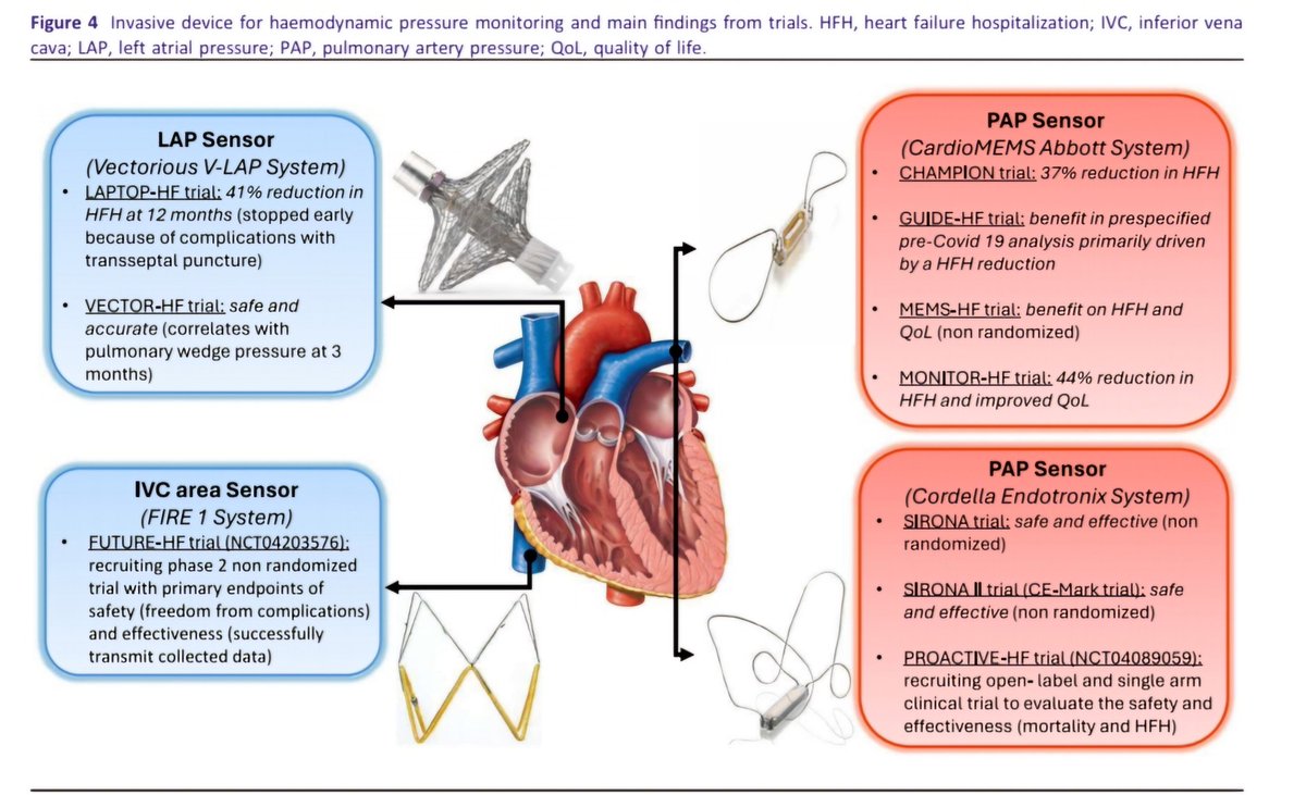🔴2024 ESC update in heart failure: Just been published #openaccess 
 onlinelibrary.wiley.com/doi/10.1002/eh…
 #medtwitterWhat #MedTwitter #CardioEd #medx #medEd #CardioTwitter #cardiotwitter #MedX #MedEd #cardiology #cardiotwiteros #FOAMed #medicine #cardiox #medical #cardiovascular