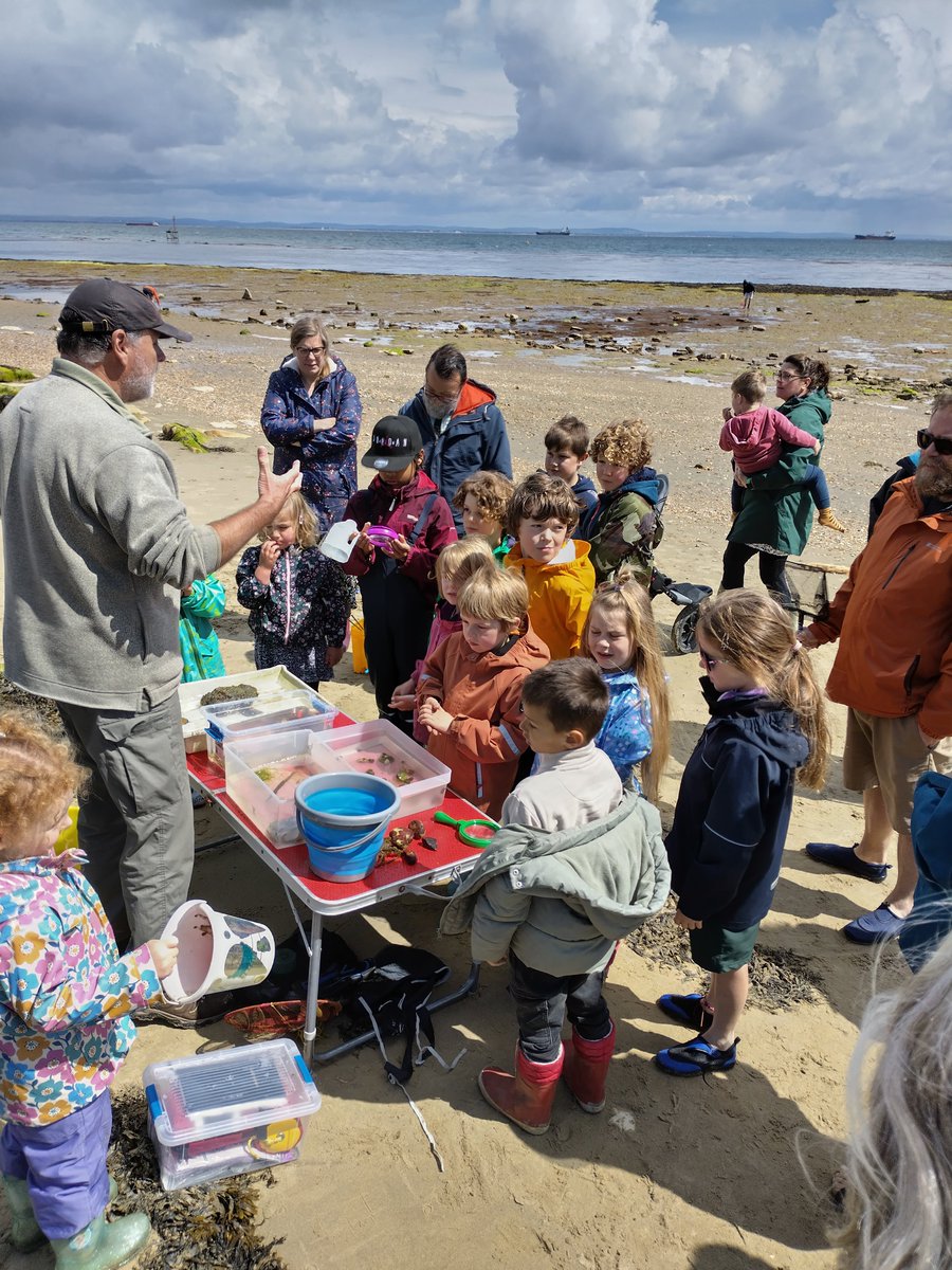 Thank you to Kathy Grogan Learning Wild and everyone that attended the Rockpool Rummage in Bembridge this morning. Lots of wonderful finds!
#IsleofWightNL #isleofwightnlwalks #isleofwight #rockpooling #wildlife #shoreline #marinelife #nationallandscape