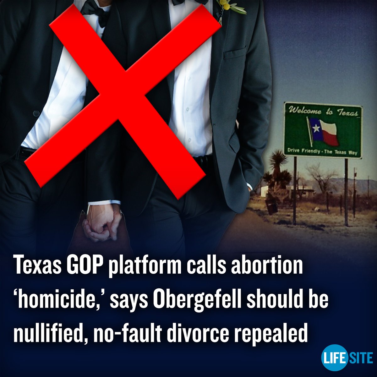 The Republican Party of Texas has retained language in its platform forcefully condemning abortion and homosexuality, calling for gay ‘marriage’ to be ‘nullified' and divorce rules to be overhauled. MORE: lifesitenews.com/news/texas-gop… #Texas #abortion #LGBT #divorce #politics #news