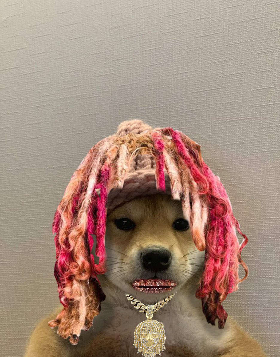 JaredsGems's tweet photo. @Yourpop8 Only @lilpump will make the celebrity noise 💥🔥💯

#LILPUMP  #SOL #META https://t.co/YTzB2SoGqw