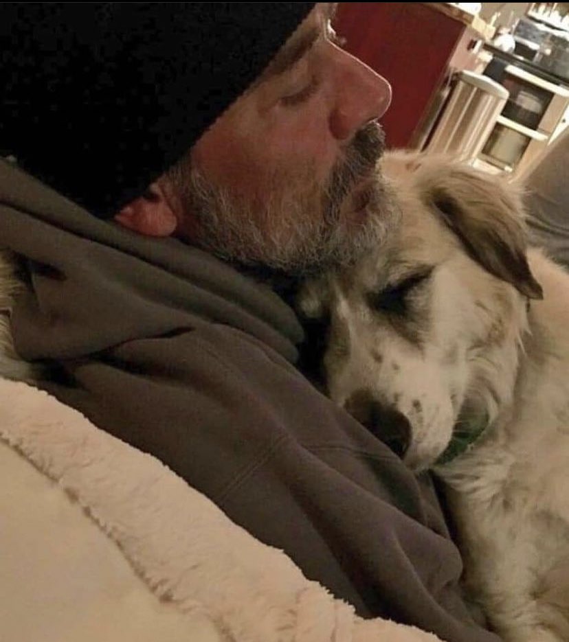 JeffreyDMfan's tweet photo. Jeff with dogs>>>😍 @JDMorgan
#JeffreyDeanMorgan #JDM #dogs #TWD #TWDFamily #Negan #TWDNegan https://t.co/eqshtxgJhN