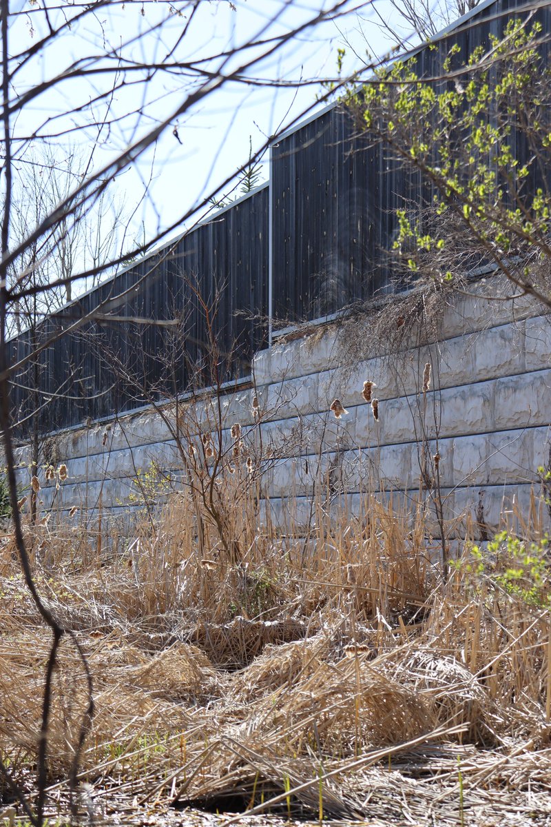 MCON Products tweet media