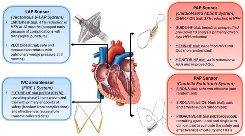 📌2024 update in #HeartFailure 

#HF #review #Update
