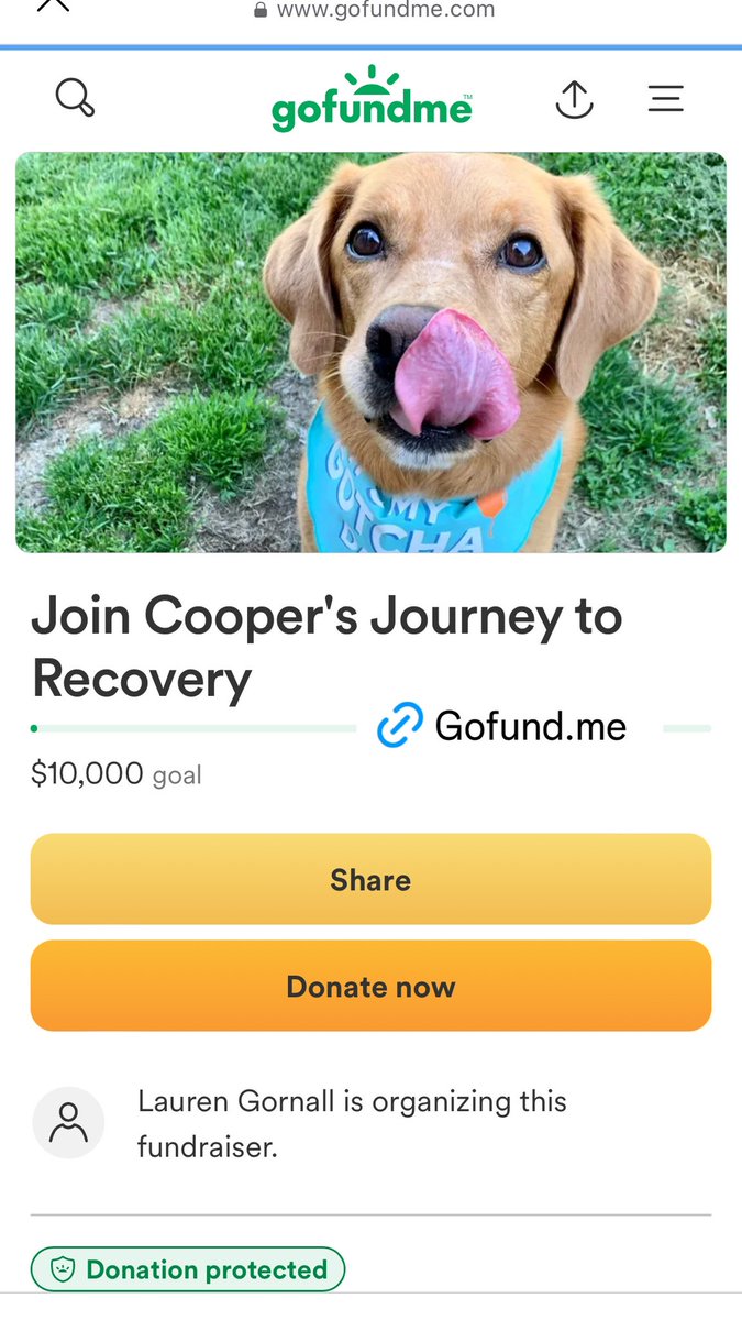 panicvbaby's tweet image. gofund.me/113af1eb