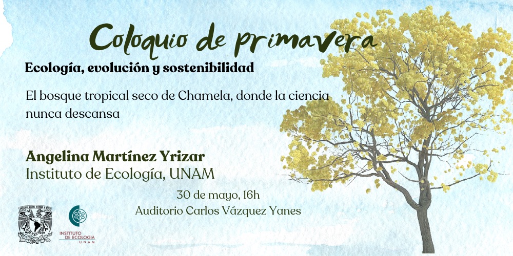 Hoy jueves 30 de mayo, 4 pm, concluimos nuestra serie de Coloquios de Primavera, con la Dra. Angelina Martínez Yrizar "El bosque tropical seco de Chamela, donde la ciencia nunca descansa" Auditorio Instituto de Ecología, UNAM