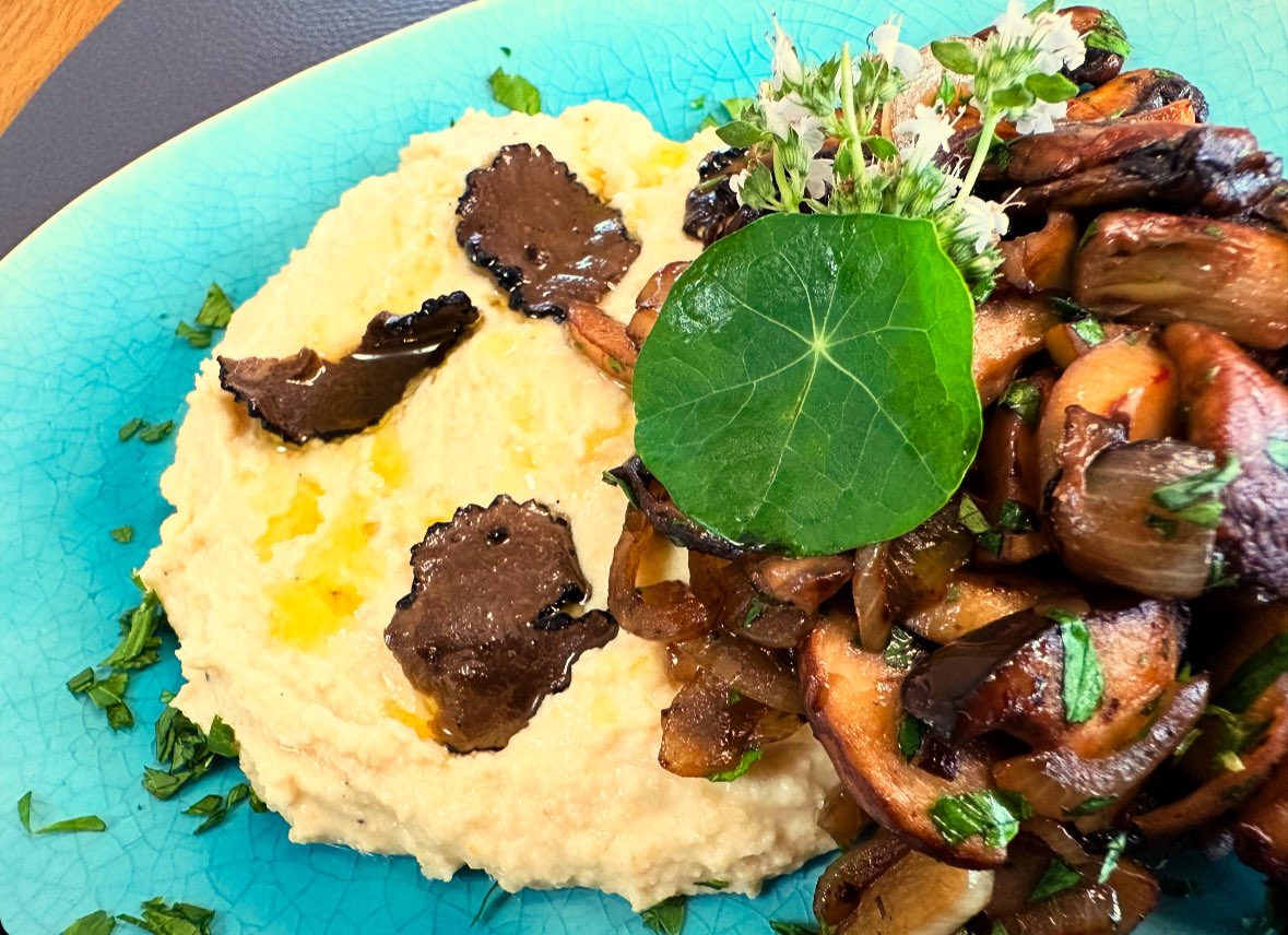 Trüffel-Humus mit gerösteten Pilzen. 

Selbst dem Jungkater hat’s geschmeckt… 🤣