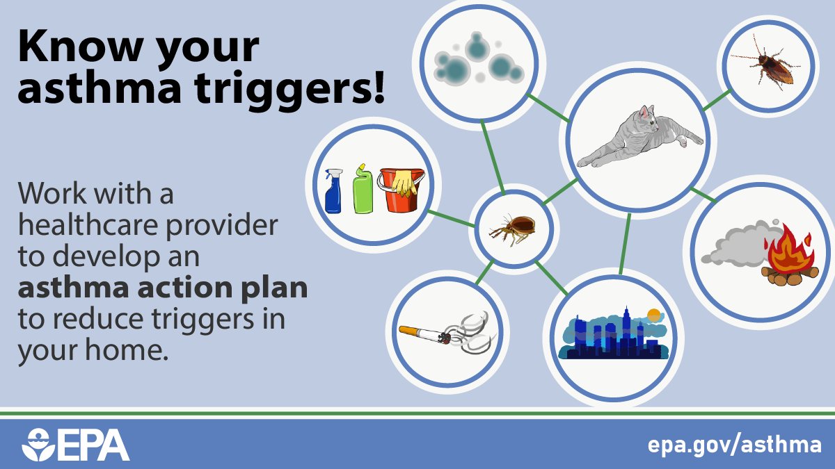 Develop a plan. 📝 Environmental factors can trigger or worsen asthma symptoms. Work with a health professional to develop an asthma action plan to control asthma triggers in your environment. #AsthmaAwarenessMonth #AQAW2024 

🔗epa.gov/asthma/asthma-…
🔗espanol.epa.gov/cai/plan-de-ac…