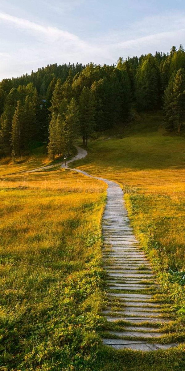 Good evening 
مساء الخير