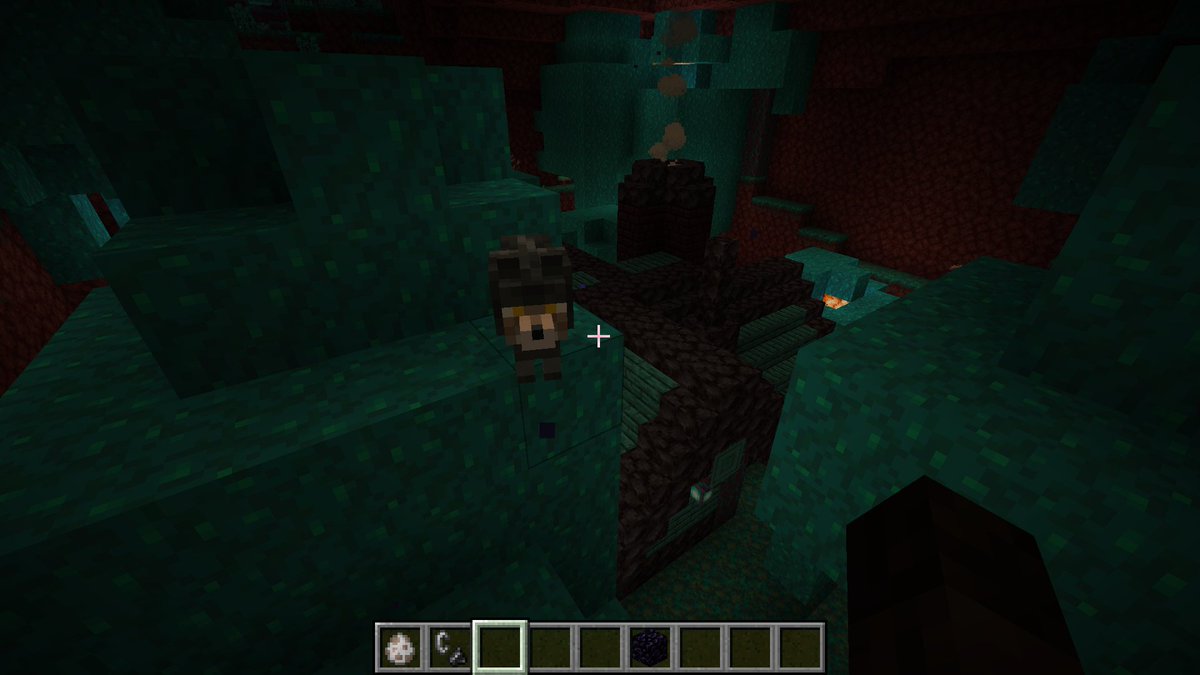 benracer85's tweet image. Je viens d&apos;ajouter une nouvelle variante du loup qui apparait dans les forets biscornus du Nether. 😁🐺
#minecraft @Minecraft #WolfVariant #Datapack