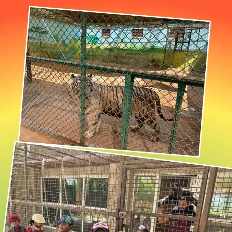 dpsrak's tweet image. *_Kindergarteners Visit RAK Zoo* !_ 
Today, our kindergarteners explored RAK Zoo as part of this month's theme, 'Fascinating World of Animals'. Our little explorers are now even more curious about the animal kingdom! #dpsrak #dpsrock