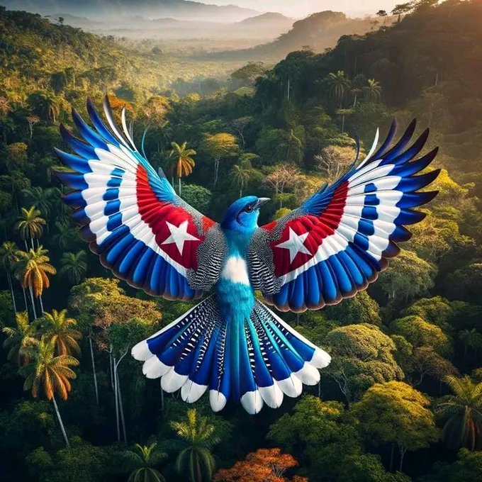 Nada ni nadie va a impedir que mi país y mi Revolución sean tan libres y bellos como el vuelo de este pájaro.
#IslaDeLaJuventud
#SentirPinero