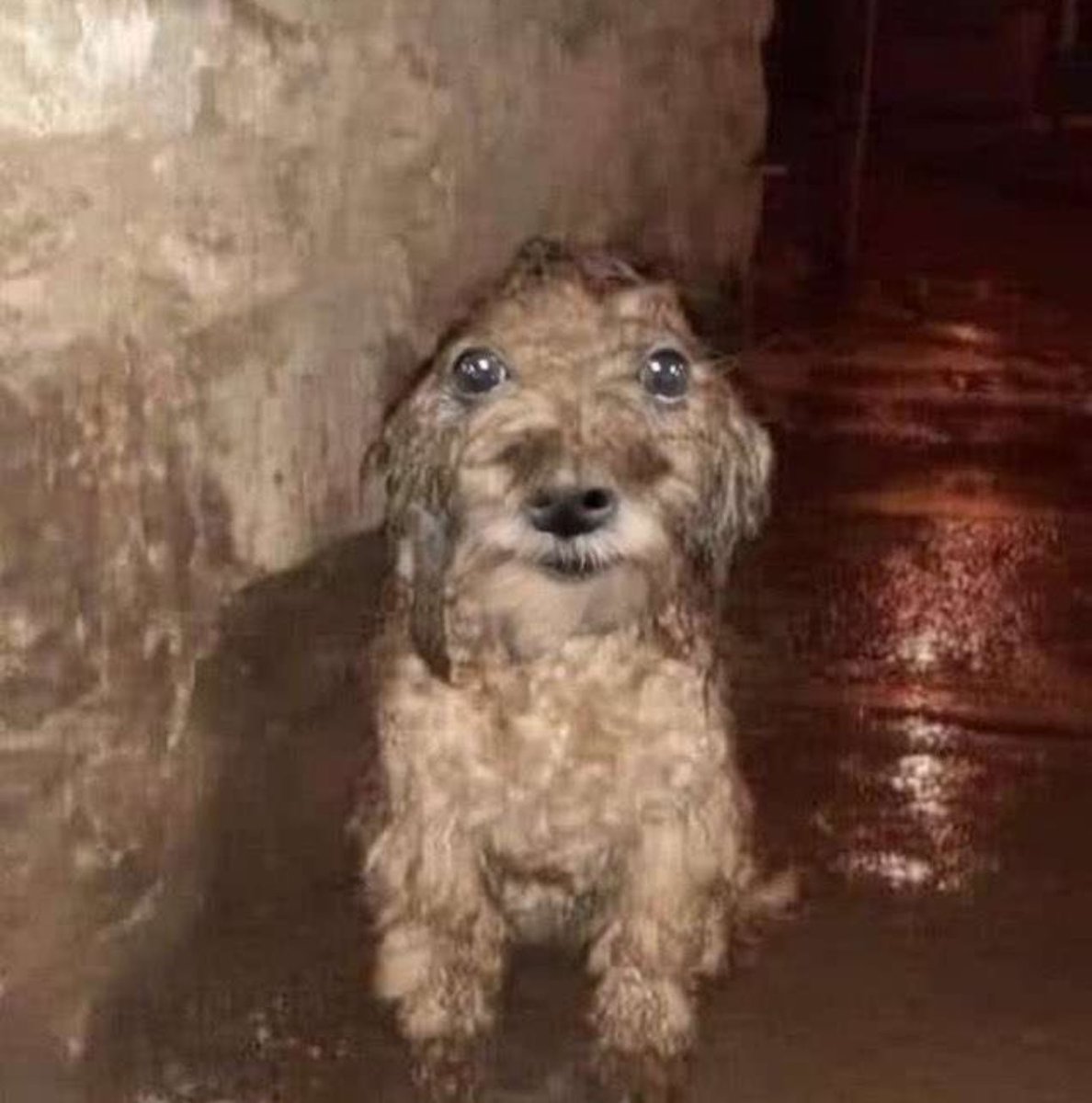 me reí en la calle por un tuit y se me salieron todos los mocos