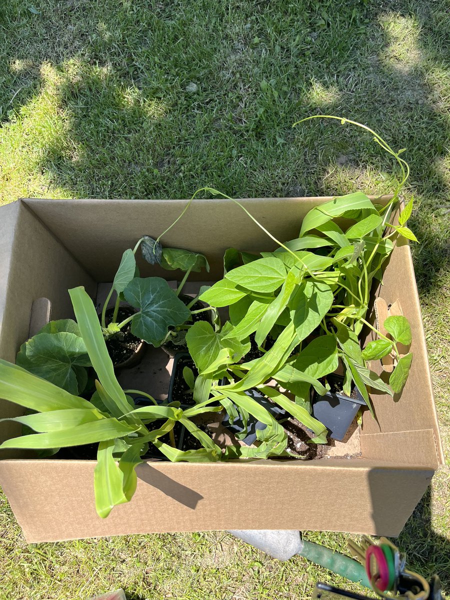 J. B. Tyrrell Senior Public School tweet media