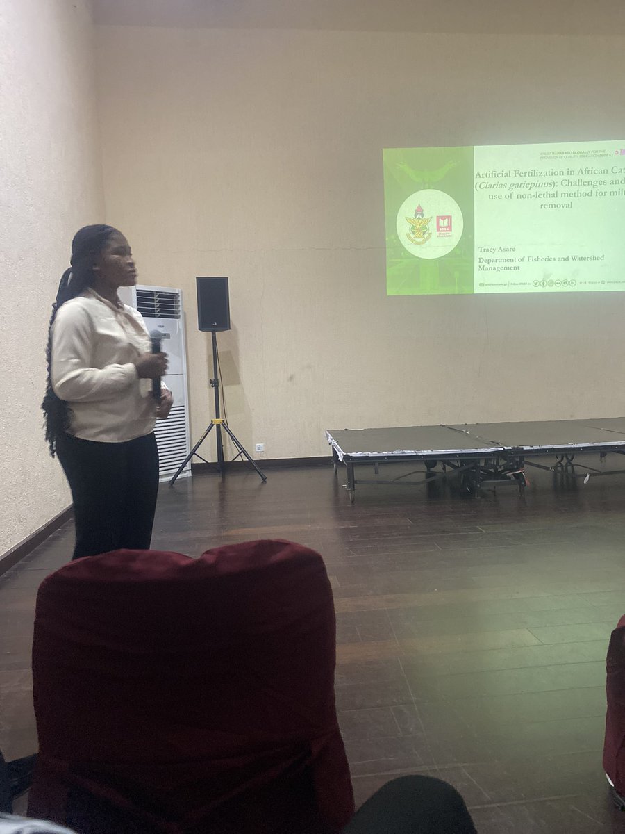 Tracy Asare from @Fisheries_KNUST presented at the COA conference, unveiling her work on Artificial Fertilization in African Catfish (Clarias gariepinus). She discussed challenges and a novel non-lethal method for milt removal. Fascinating findings! Kudos !!#Aquaculture #Research