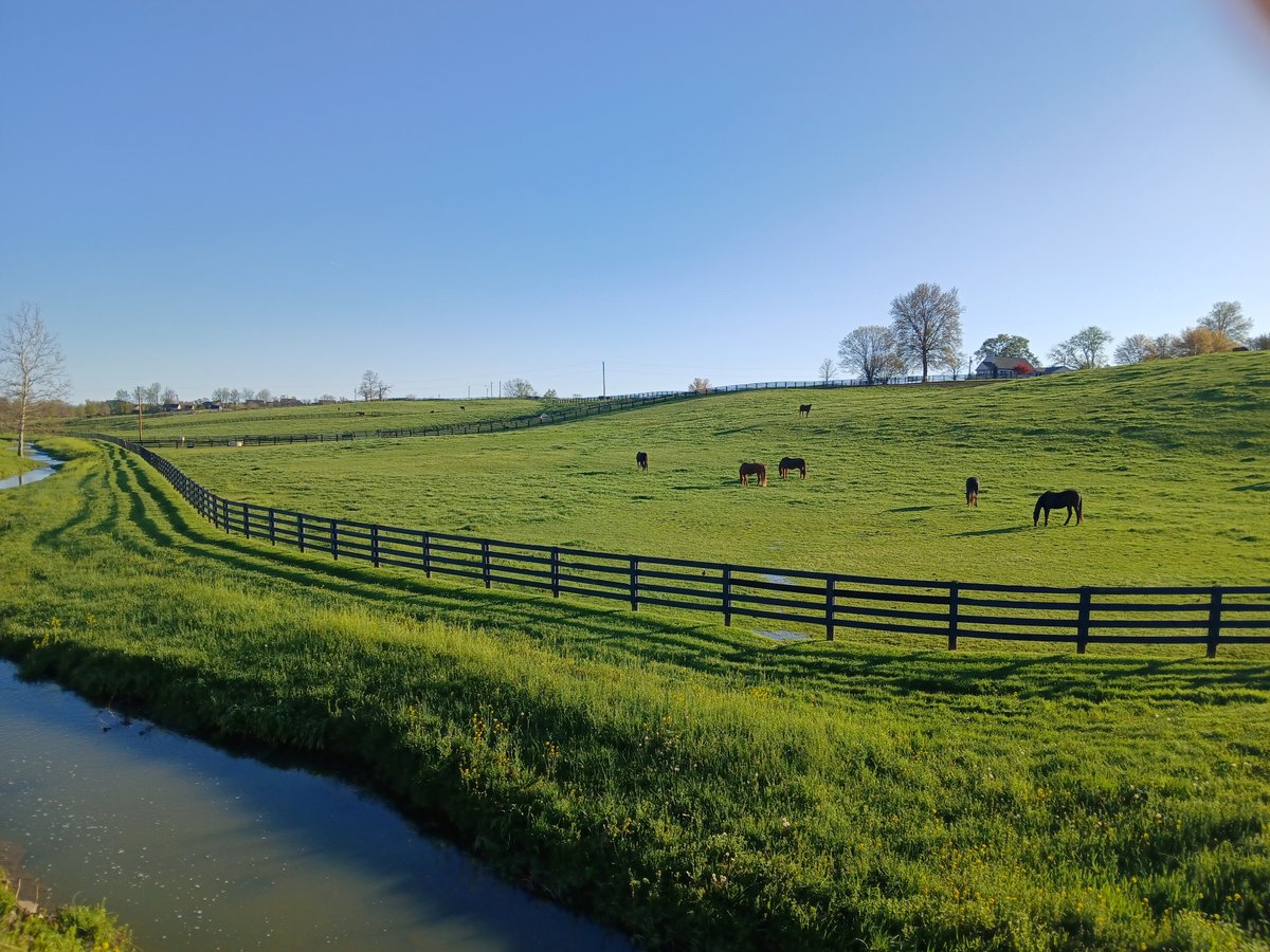 .... and yes, in the video, those are horse farms in the distance. This is friggin' Kentucky, after all.