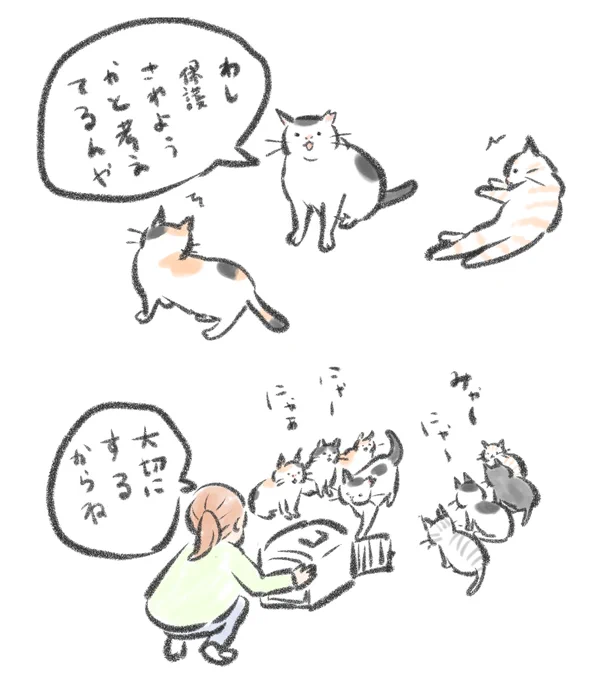 近所の多摩川に住み着いてた猫たち最近見ないけど平穏に暮らしてますように。 