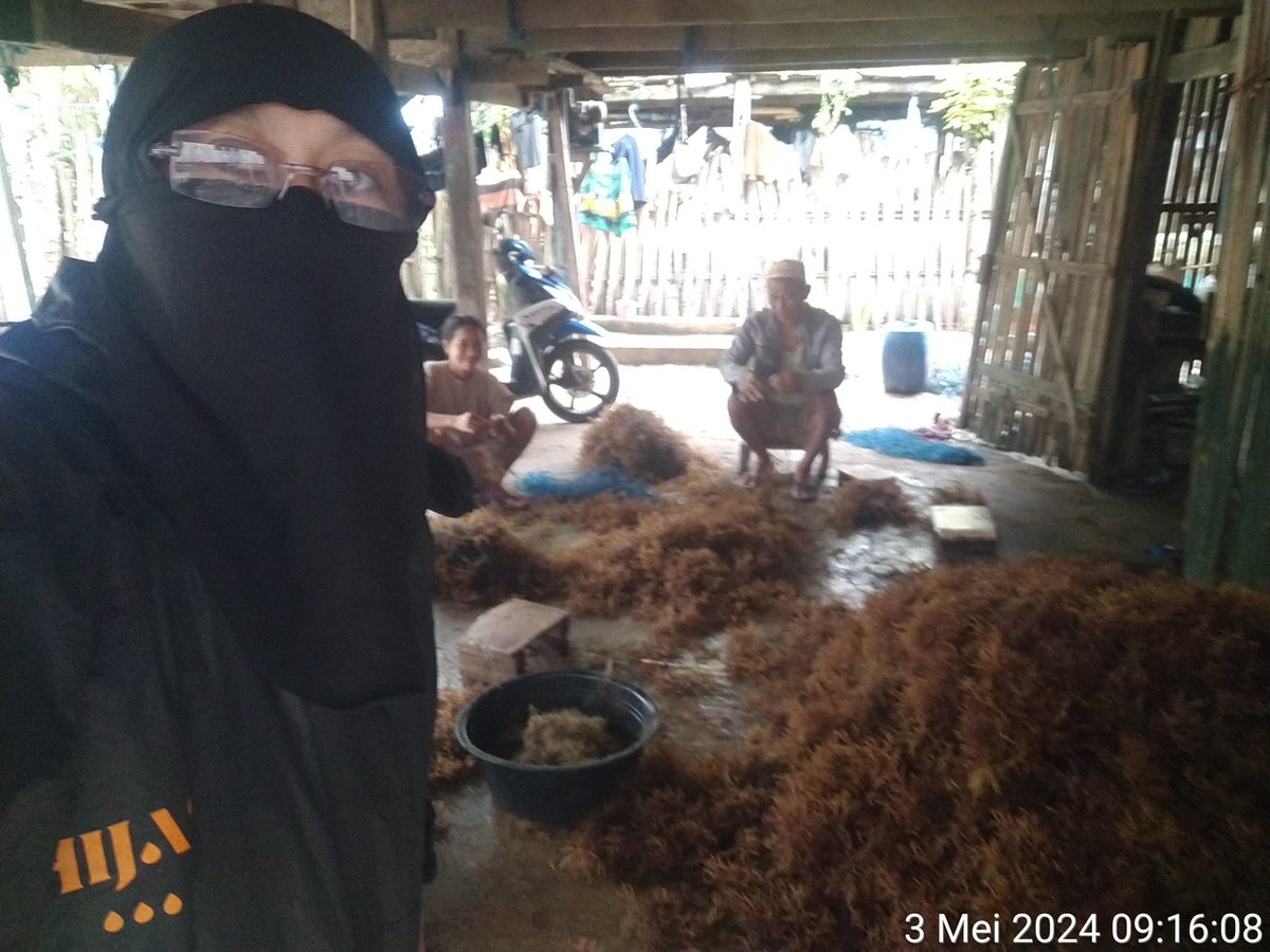 stdewi98's tweet image. Jum&apos;at, 3 Mei 2024 pengambilan data produksi 350 kg @ 2000 di Pokdakan Mutiara laut Desa Bontosunggu Kec.Tamalatea Kab.Jeneponto
#Aksi Luhkan Jeneponto 
#BPPSDM_KP
#BRPBAPPP Maros
# Puslatluh KP