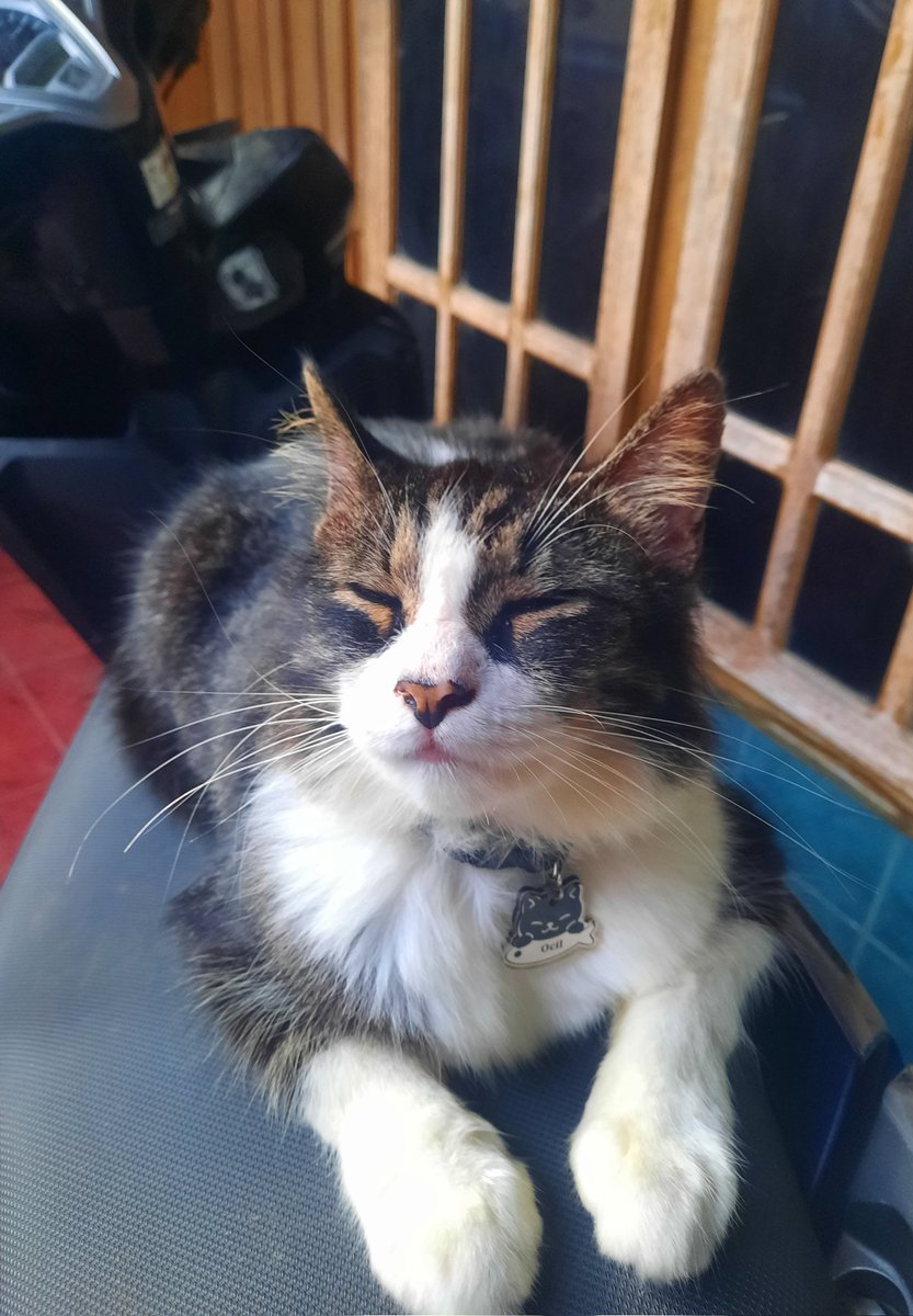 lvnahchae's tweet photo. Mantan penyintas scabies parah sekarang udah ganteng poll 😍 https://t.co/z8SuRxbJn0