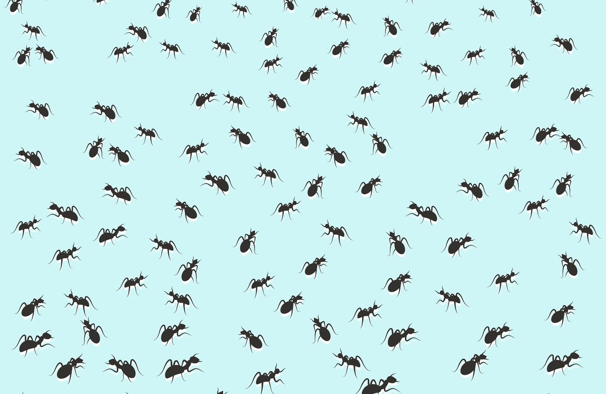 🔵 Ces astuces redoutables pour venir à bout des fourmis naturellement dlvr.it/T7btQN