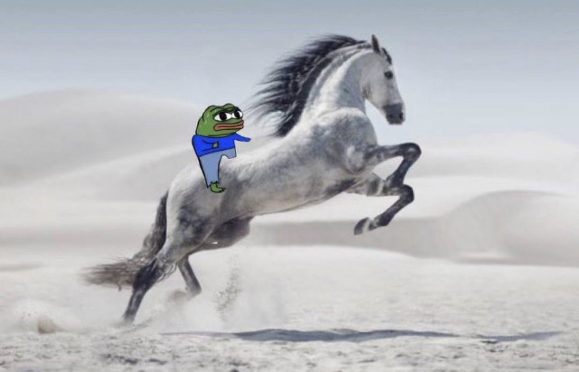 cryptoscarra's tweet photo. @florissMessina @JuancitoPad $MONKAS LFG https://t.co/FaqiPwonsy