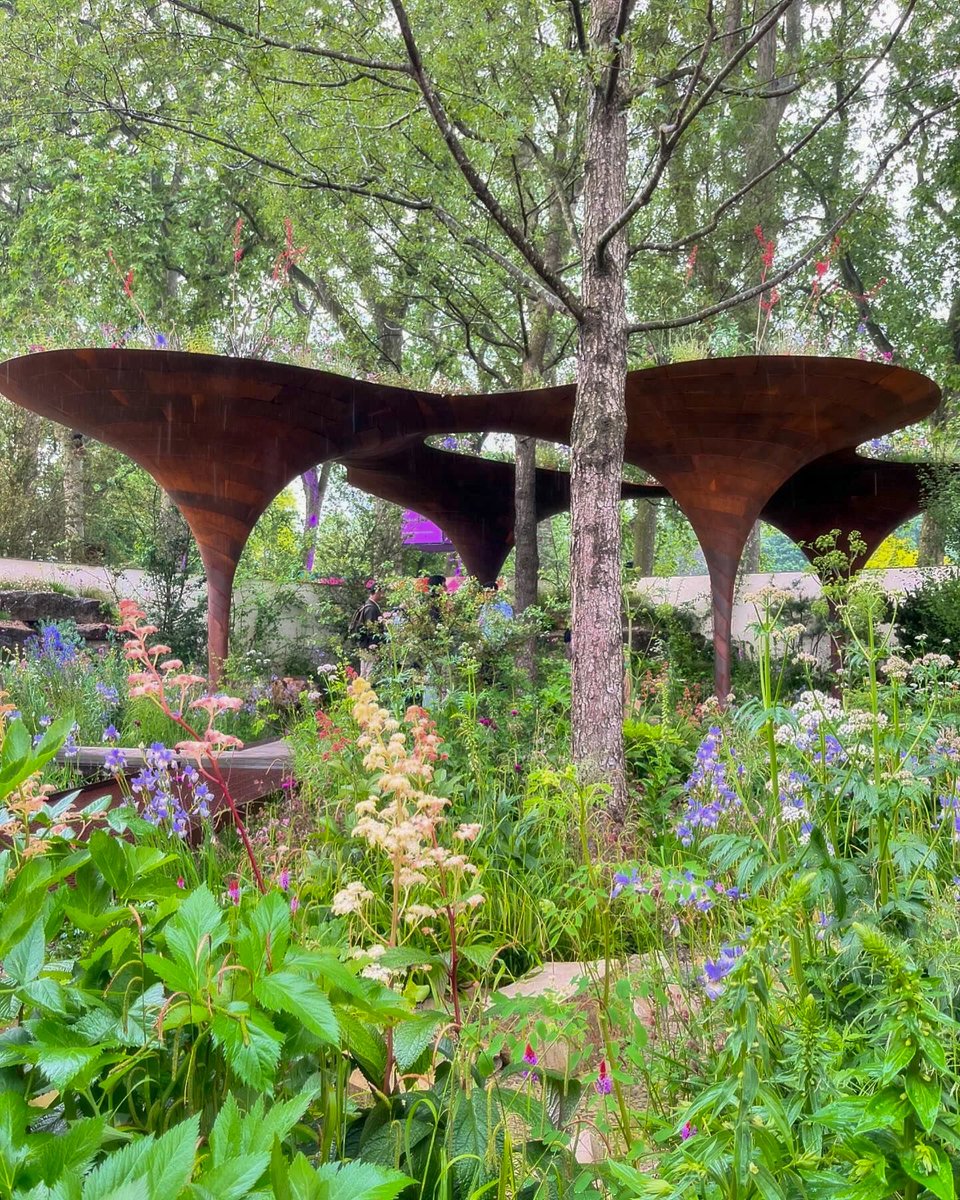 milk (@dropofmilk) on Twitter photo One of our favourites from last week’s <a href="/The_RHS/">The RHS</a> Chelsea Flower Show… the gold winning garden by <a href="/tommasseyuk/">Tom Massey</a> & <a href="/studioweave/">Studio Weave</a> which housed this beautiful corten steel rainwater capturing structure, fabricated and installed by <a href="/cake_industries/">Cake Industries</a> One of our favourites from last week’s <a href="/The_RHS/">The RHS</a> Chelsea Flower Show… the gold winning garden by <a href="/tommasseyuk/">Tom Massey</a> & <a href="/studioweave/">Studio Weave</a> which housed this beautiful corten steel rainwater capturing structure, fabricated and installed by <a href="/cake_industries/">Cake Industries</a>