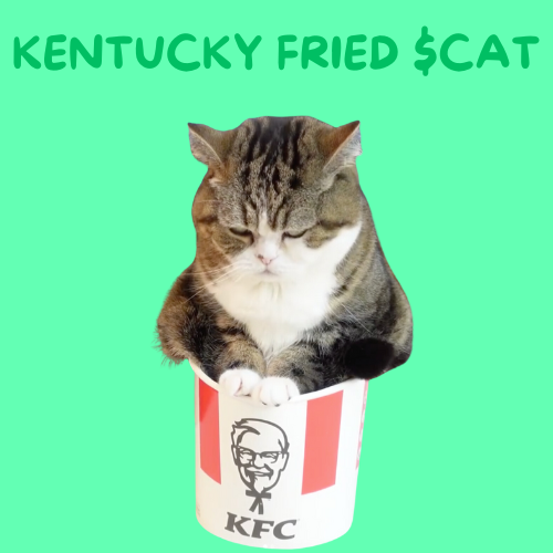 CatMaruX's tweet photo. @penguin_curator @dogwifcoin $Cat wif kfc bucket https://t.co/KTxTeNbB4i