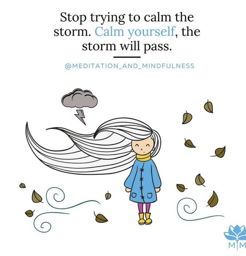 We don’t have control over the storm, focus on what you can manage ~ Yourself ✨ #MindfulnessMoment #MindfulLiving #InnerPeace #Calm