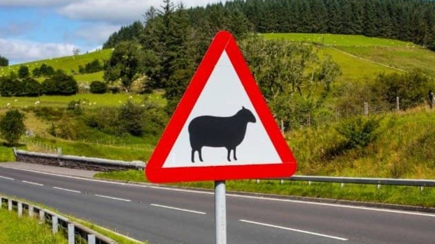Country roads can be unpredictable and full of potential hazards⚠️ 

You may come across escaped farm animals wandering on the road🐑🐄

#TakeCare and #SlowDown