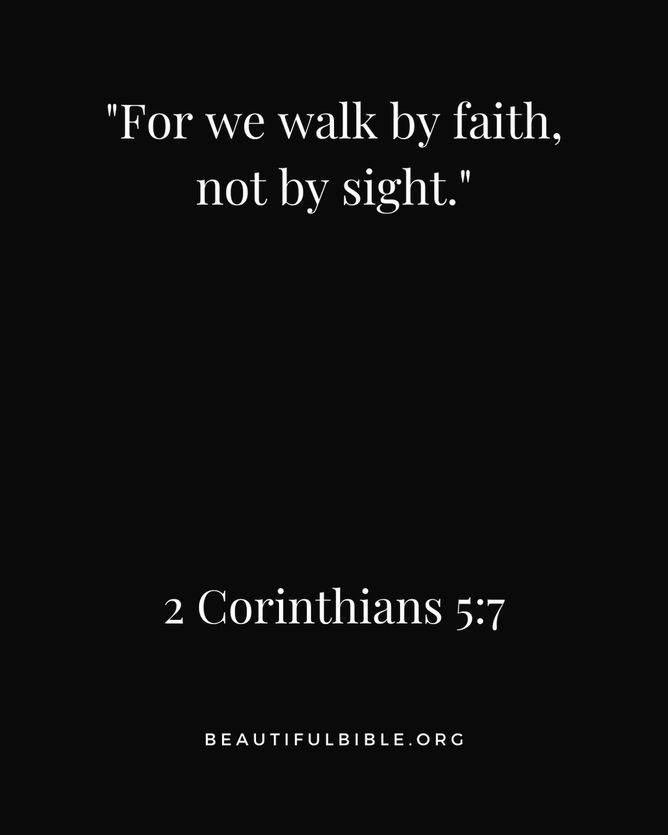 Beautiful Bible tweet media