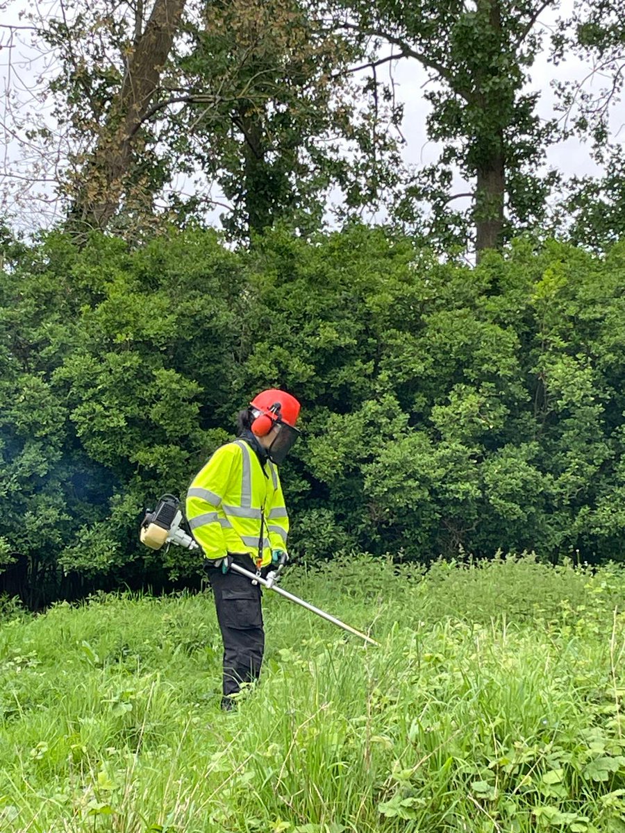 Emma, our new #TransformingLives trainee is seen here brush cutting at our #EyeGreen Reserve to create space for a glorious #wildflower #meadow that will benefit an abundance of species! 

@HeritageFundUK #Peterborough
