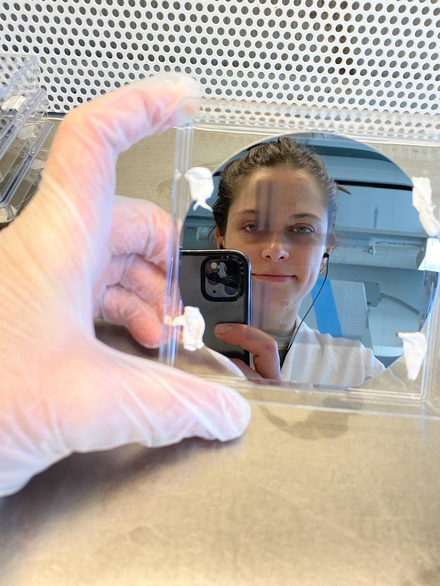 Neumann_Ca's tweet image. Finally, the golden chip is there!