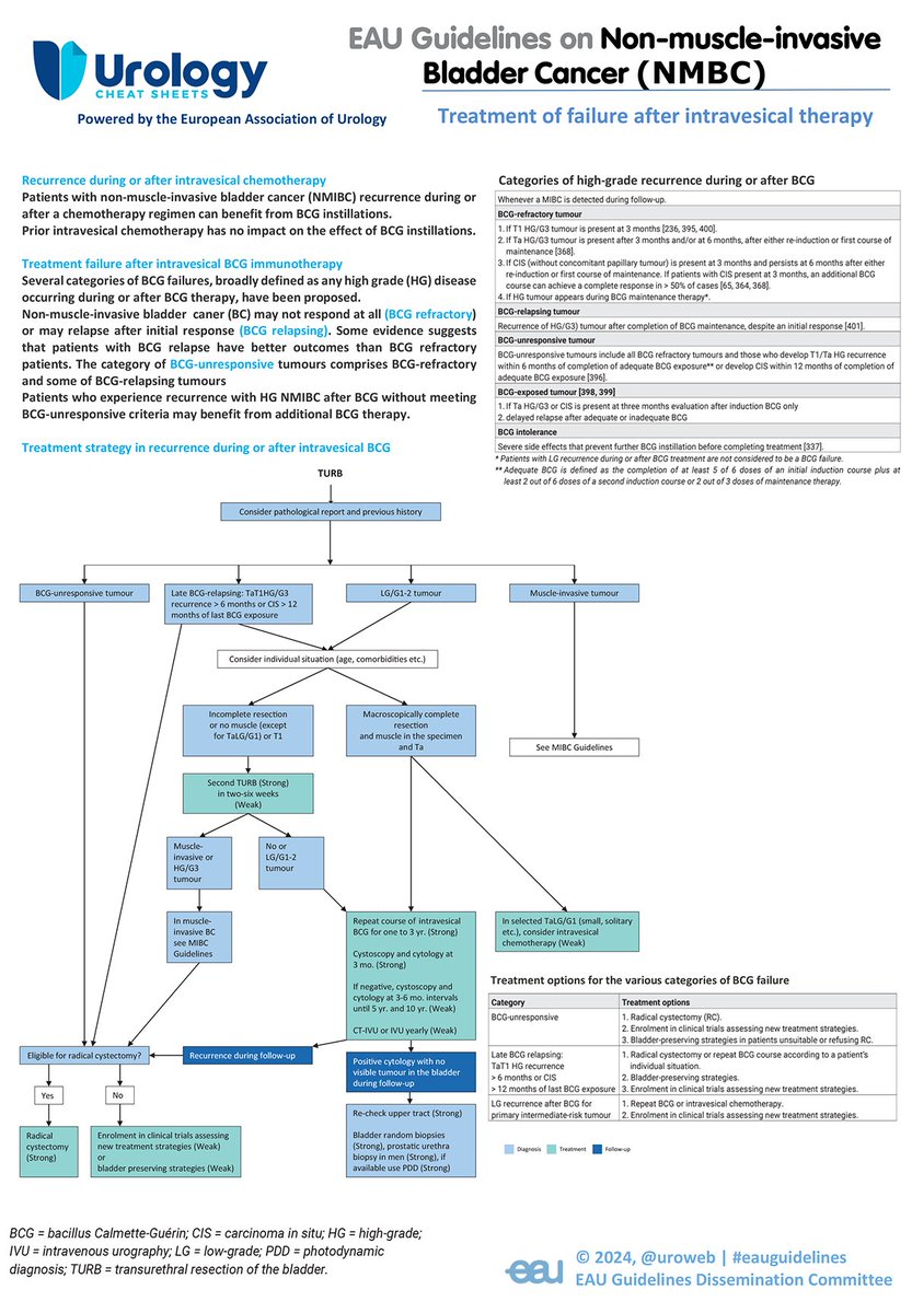 👉 New Cheat Sheet: Managing Bladder Cancer Recurrence after Intravesical Therapy.

Download the PDF for more details:
uroweb.org/guidelines/non…

#BladderCancer #EAUguidelines