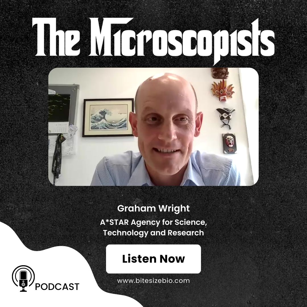 This latest #TheMicroscopists is with Graham Wright @AstarMicroscopy. Hear about living and working in Singapore, career development, balancing work/life, and much more. See/hear bit.ly/microscopists7… #microscopy #sciencepodcast #sciencecareers