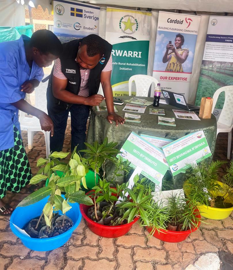 RRwarri's tweet image. It is a sign of ownership and sustainability of the restoration activities that are being conducted in  @RwandaEast through #AREECA, #TREPA, and #Combio

#PlantATreeSaveTheFuture