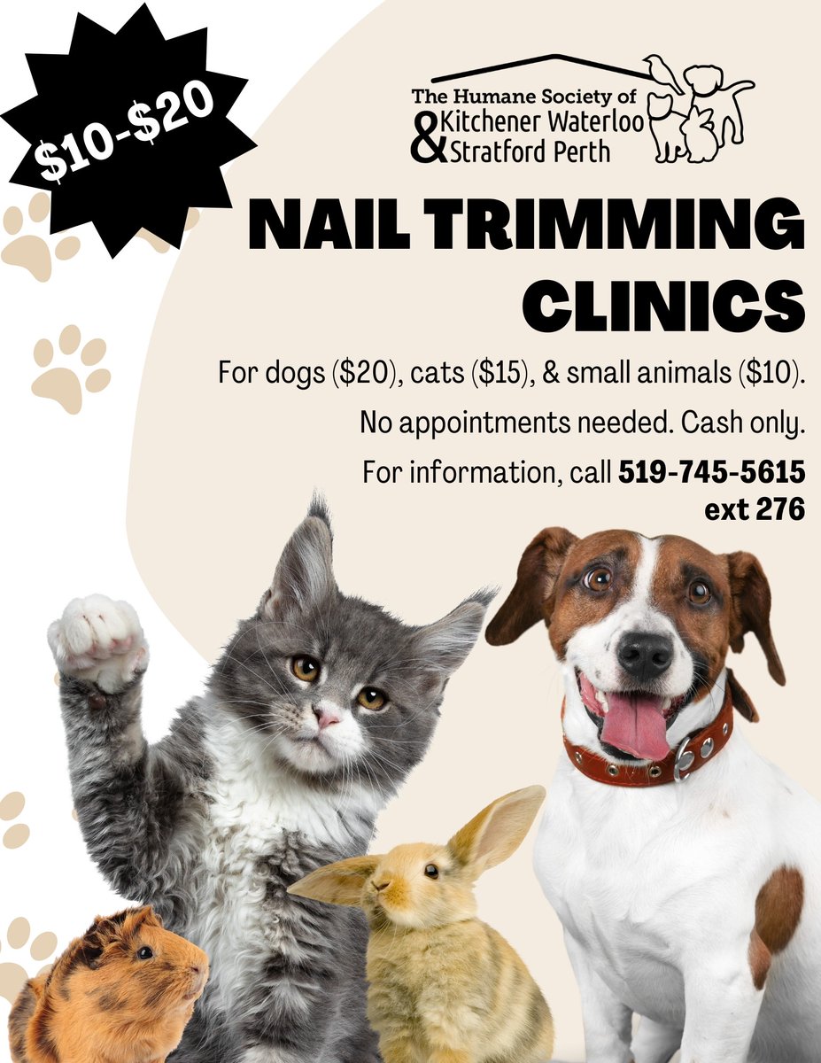 Join us today from 2-4pm at our Kitchener centre for a nail trimming clinic! Dogs, cats, and small animals are all welcome. No appointments needed, just walk on in! kwsphumane.ca/nail-trimming-…