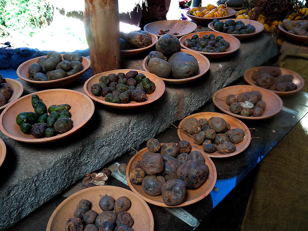 Today is the #InternationDayOfPotatos set up by @FAO to celebrate one of the most important source of sustenance in all the world. There are some 5,000 potato varieties worldwide, 3000 of them in the Andes alone. (ph: George Shepherd, flickr) @patafest_eu