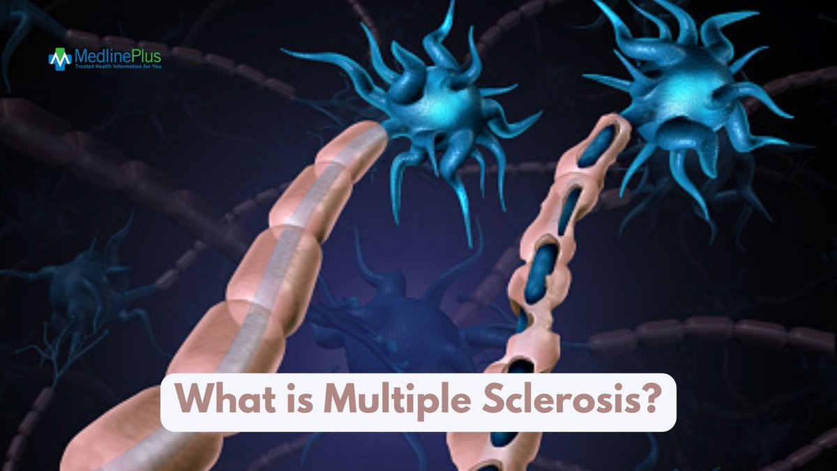 medlineplus's tweet photo. Multiple sclerosis (MS) is a nervous system disease that affects your brain and spinal cord. It damages the myelin sheath, which surrounds and protects your nerve cells. How is it diagnosed? Learn more: https://t.co/v94nFG9fFd #MultipleSclerosisDay https://t.co/wp8kRpfRgh