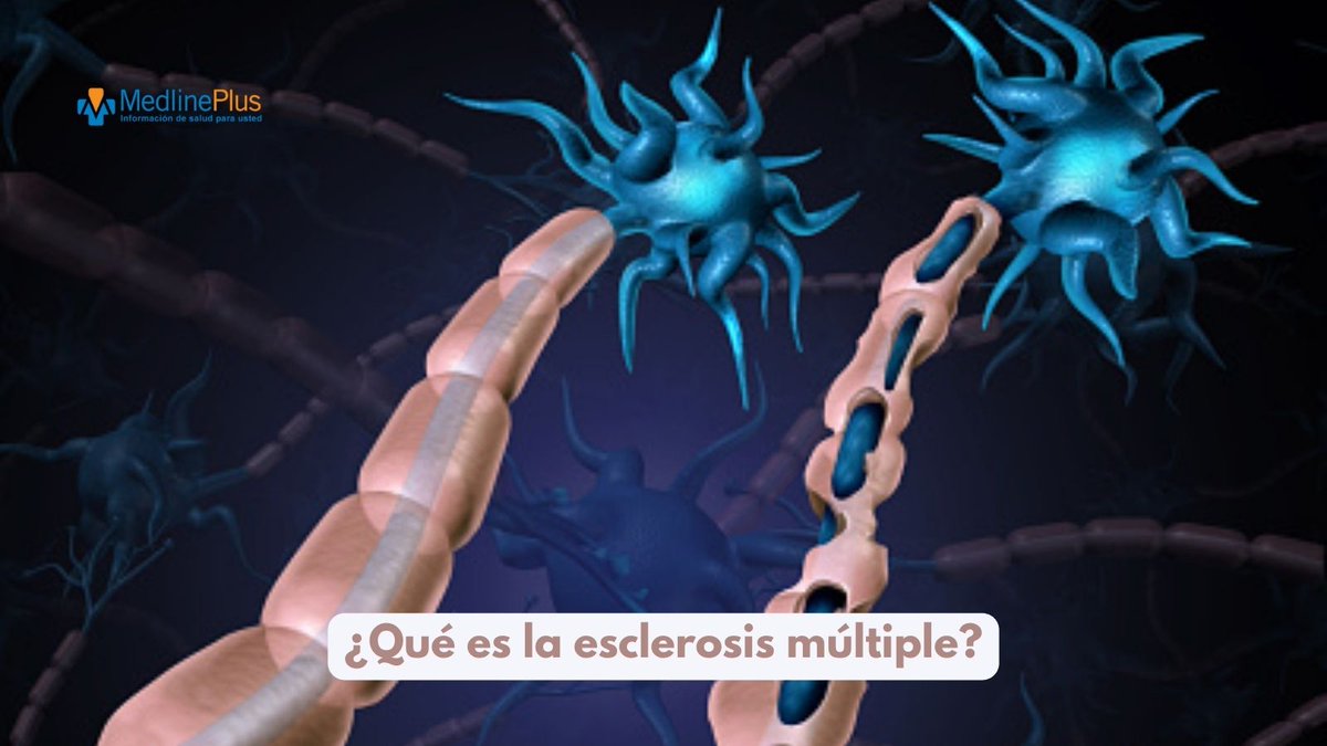MedlinePlusEsp's tweet photo. La esclerosis múltiple es una enfermedad del sistema nervioso que afecta al cerebro y la médula espinal. Lesiona la vaina de mielina, el material que rodea y protege las células nerviosas. ¿Cómo se diagnostica? Entérate aquí https://t.co/p2jcPkLhDE #MultipleSclerosisDay https://t.co/9SeC4wQhMg