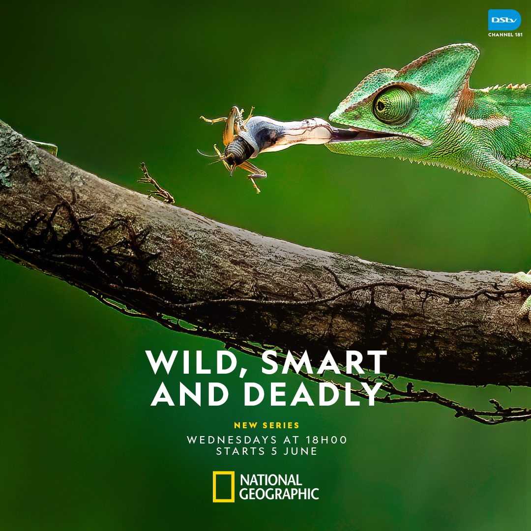 From the depths of the sea to the skies above, experience the epic battles of predators and prey like never before. #WildSmartAndDeadly