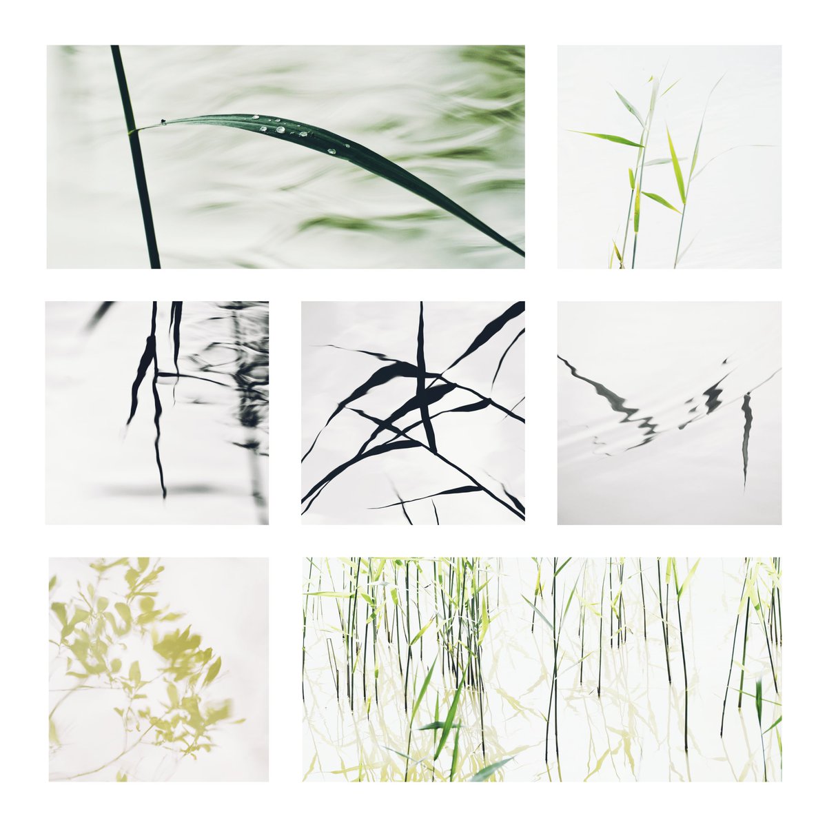 Glenys Garnett tweet media