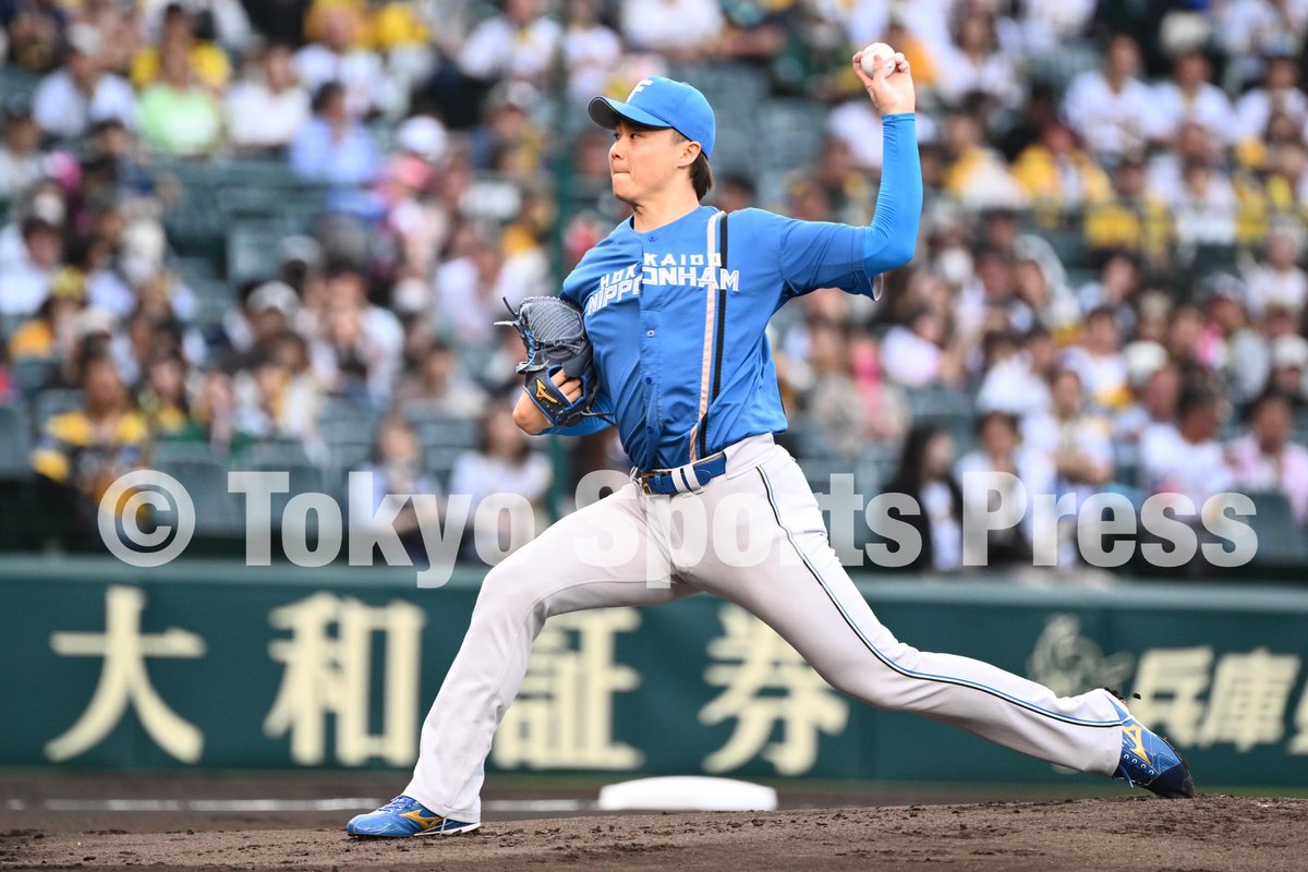 【プロ野球】 2024年5月30日 #甲子園球場 #交流戦 阪神 × #日本ハム 今日のヒーロー #山﨑福也 #プロ野球 #NPB #ファイターズ #fighters