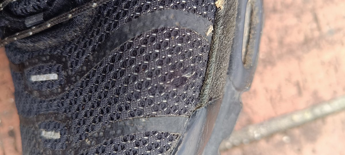 GreGoZoR 979 tweet media