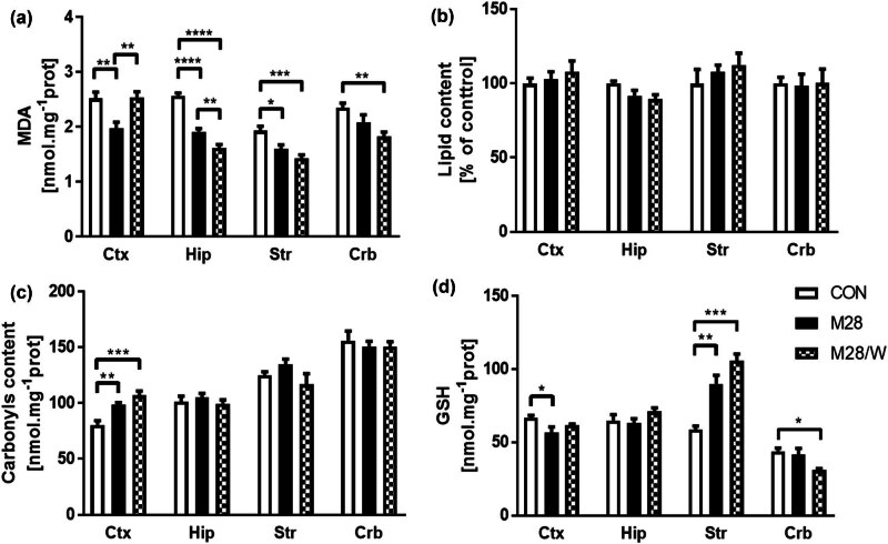 NovotnyLab's tweet photo. We found the changes in redox state and protein expression in selected parts of the rat brain induced by a 4 week administration of morphine. Published in Open Life Sciences by @degruyter_brill. #neuroscience #morphine #novotnylab
➡️https://t.co/Rqnwgjcd6w https://t.co/zIpvEjlGLF
