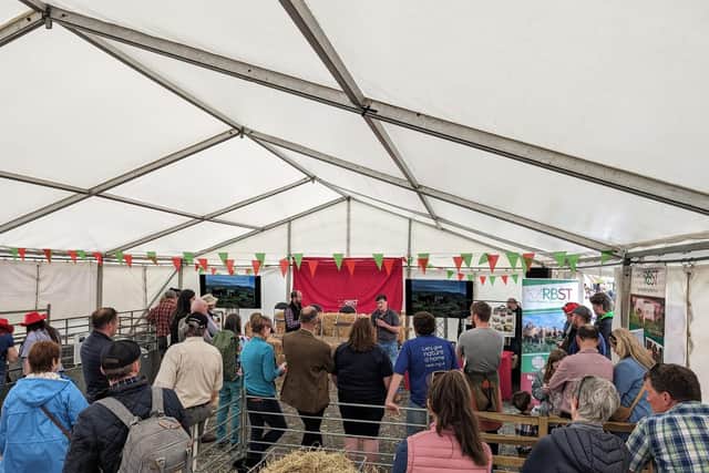 RBST Northern Ireland Support Group attended the Balmoral Show this month, sharing space with 7 organisations in The Regenerative Farming Zone. There were various important and interesting talks and discussions. Read more here 📷 shorturl.at/woKLk #RegenerativeFarming