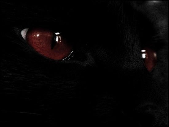 🦇 𝐭𝐡𝐞 𝐯𝐚𝐦𝐩𝐢𝐫𝐚 𝐬𝐡𝐨𝐰 | nsfw tweet media