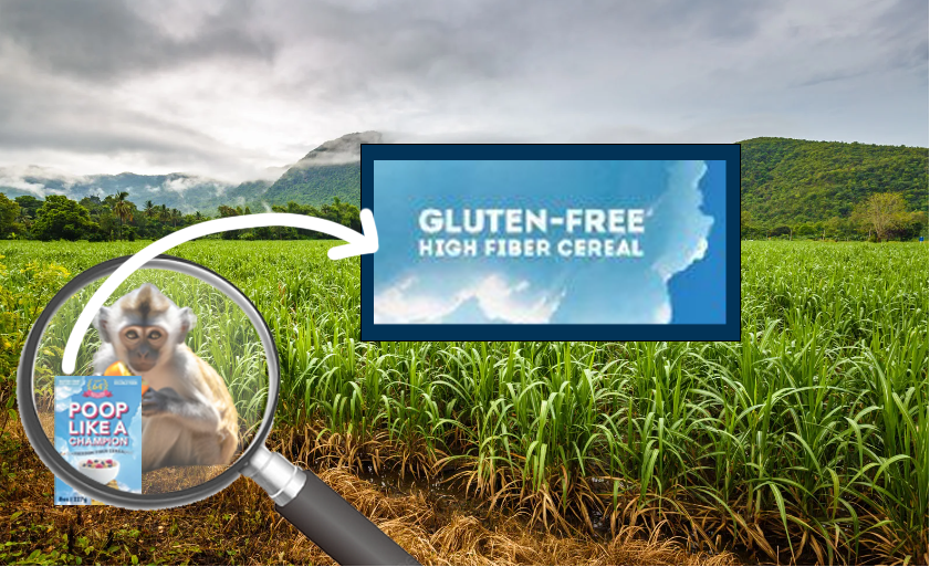 sugarboredape's tweet photo. @NotWilmarSugar an Ape has been spotted eating his high fiber cereal breakfast in a cane field.. is it impacting the cane quality? 🐒🙊 https://t.co/rd3AXbquRu