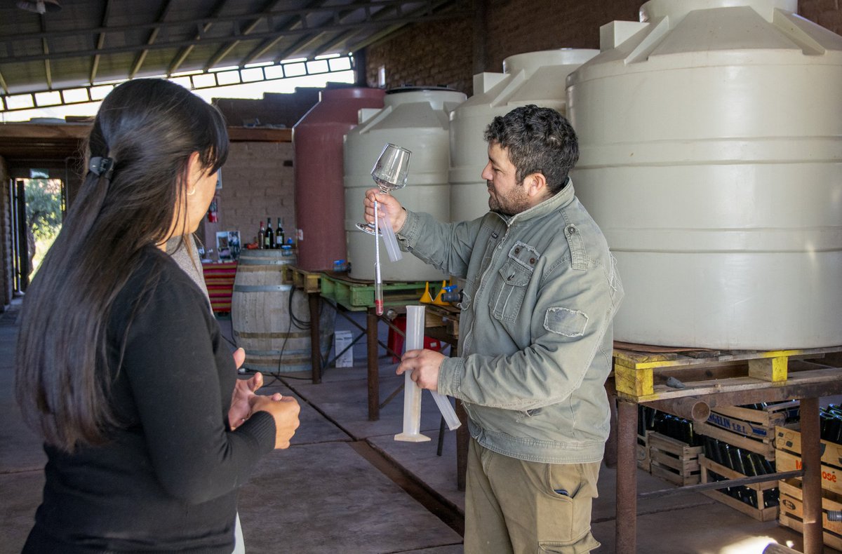 🍷¡Impulsamos el turismo del vino! El Sec <a href="/joserosaok/">José Rosa</a> entregó kits de degustación a las bodegas turísticas de Gral. Felipe Varela, culminando así una serie de visitas técnicas a estos importantes establecimientos.
⬇️